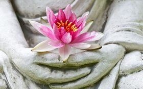 Blog 4
