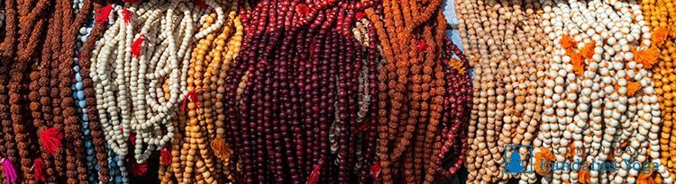Variedad de malas