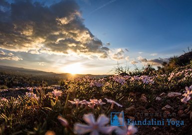 atardecer