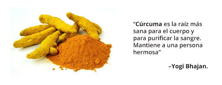 curcuma-yb2