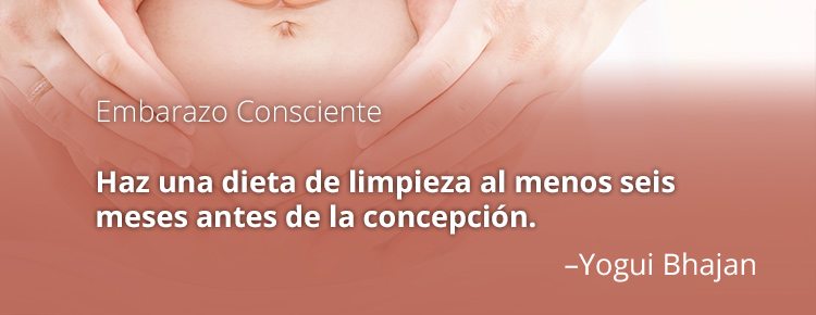 embarazo-consciente