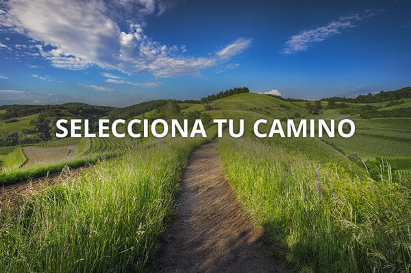 selecciona camino