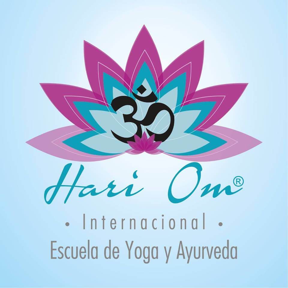 Logo  Hari Om Internacional
