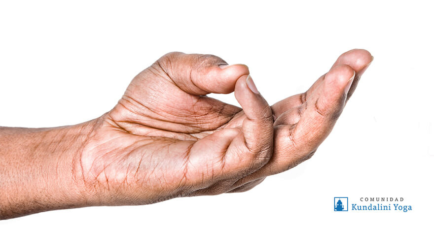 Buddhi mudra