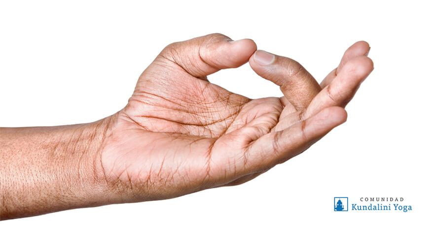 Shuni mudra