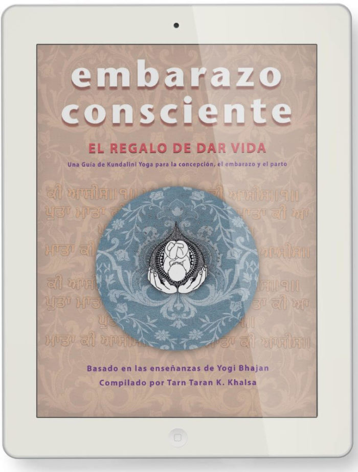 libro pdf