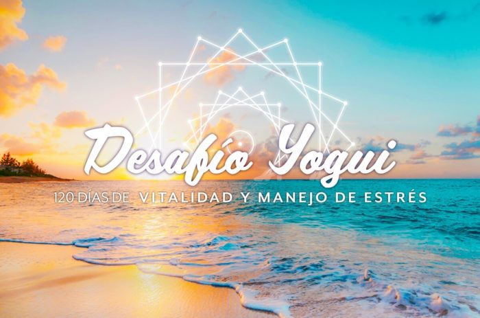 Logo desafio yogui 4