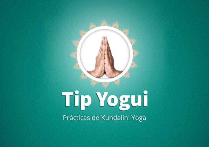 tip yogui curso woo
