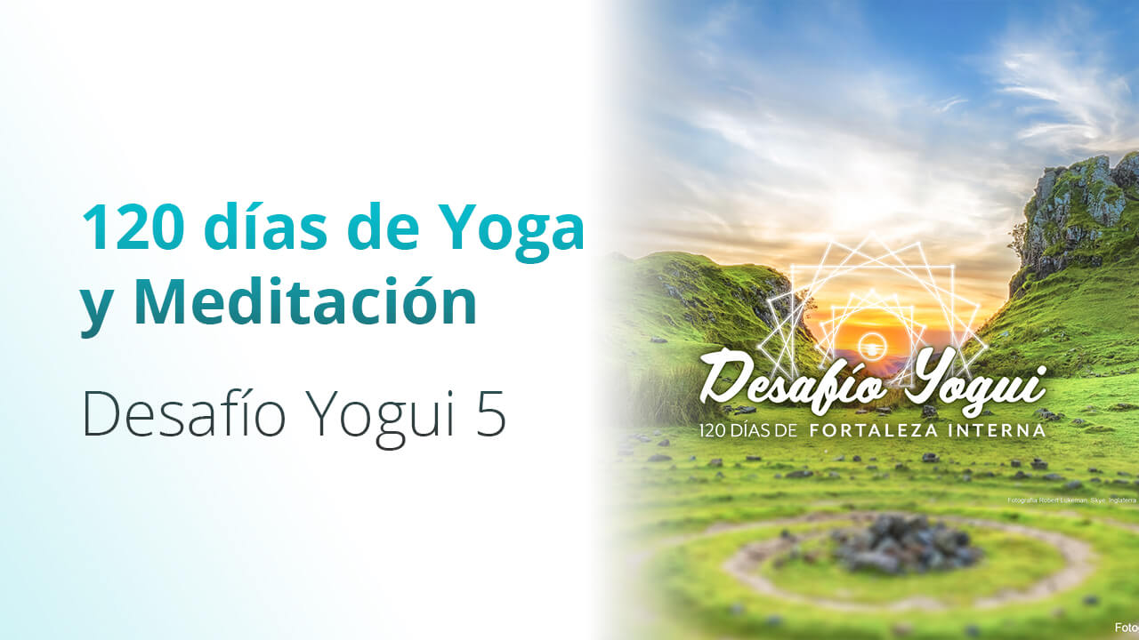 Desafío Yogui 5
